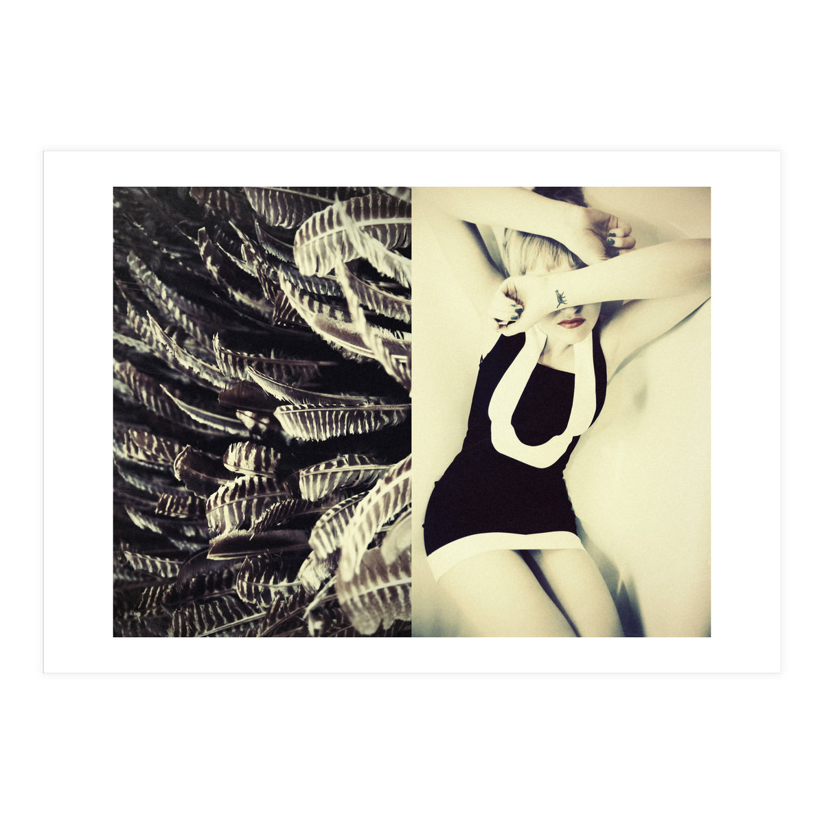 Featherish (Print Only)