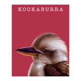 Kookaburra (Print Only) thumbnail