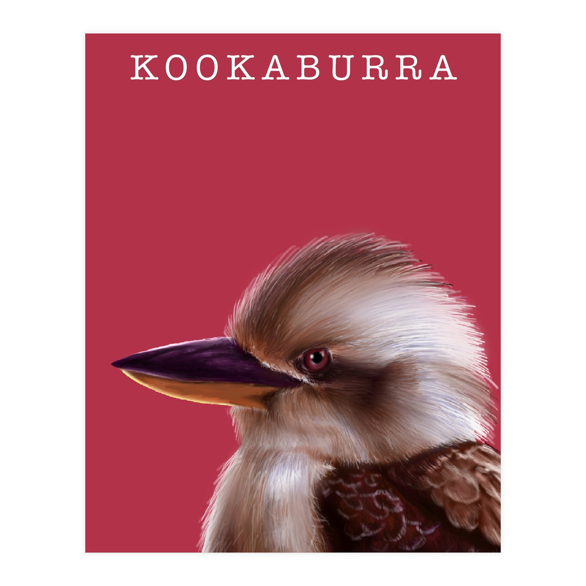 Kookaburra (Print Only)