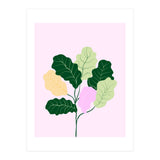 Figleaf (Print Only) thumbnail