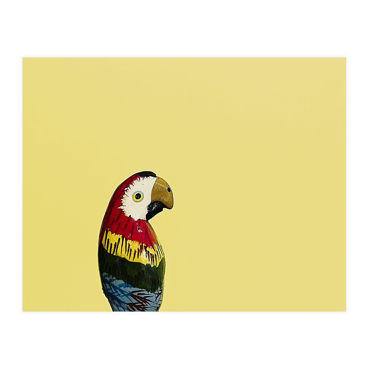 Parrot (Print Only)