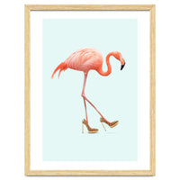 Fancy Flamingo