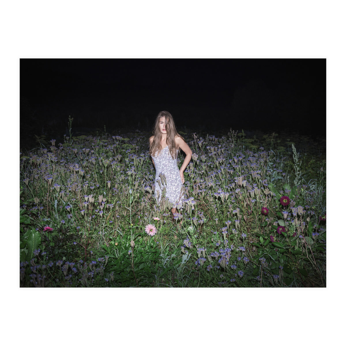 Insomnia (Print Only)