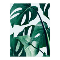 Monstera (Print Only)