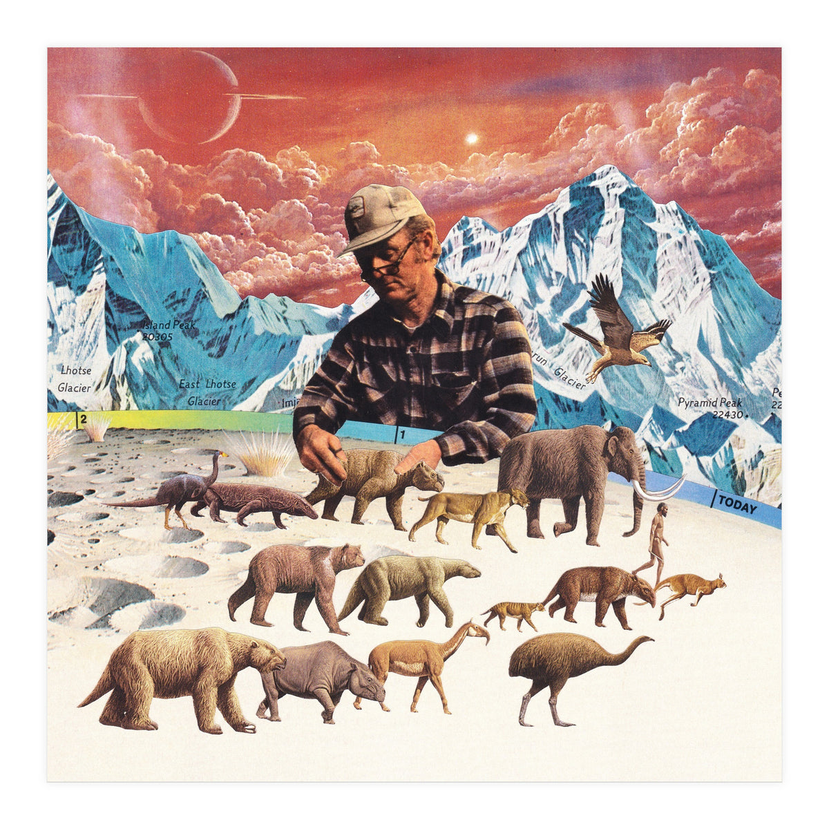 Evolution (Print Only)