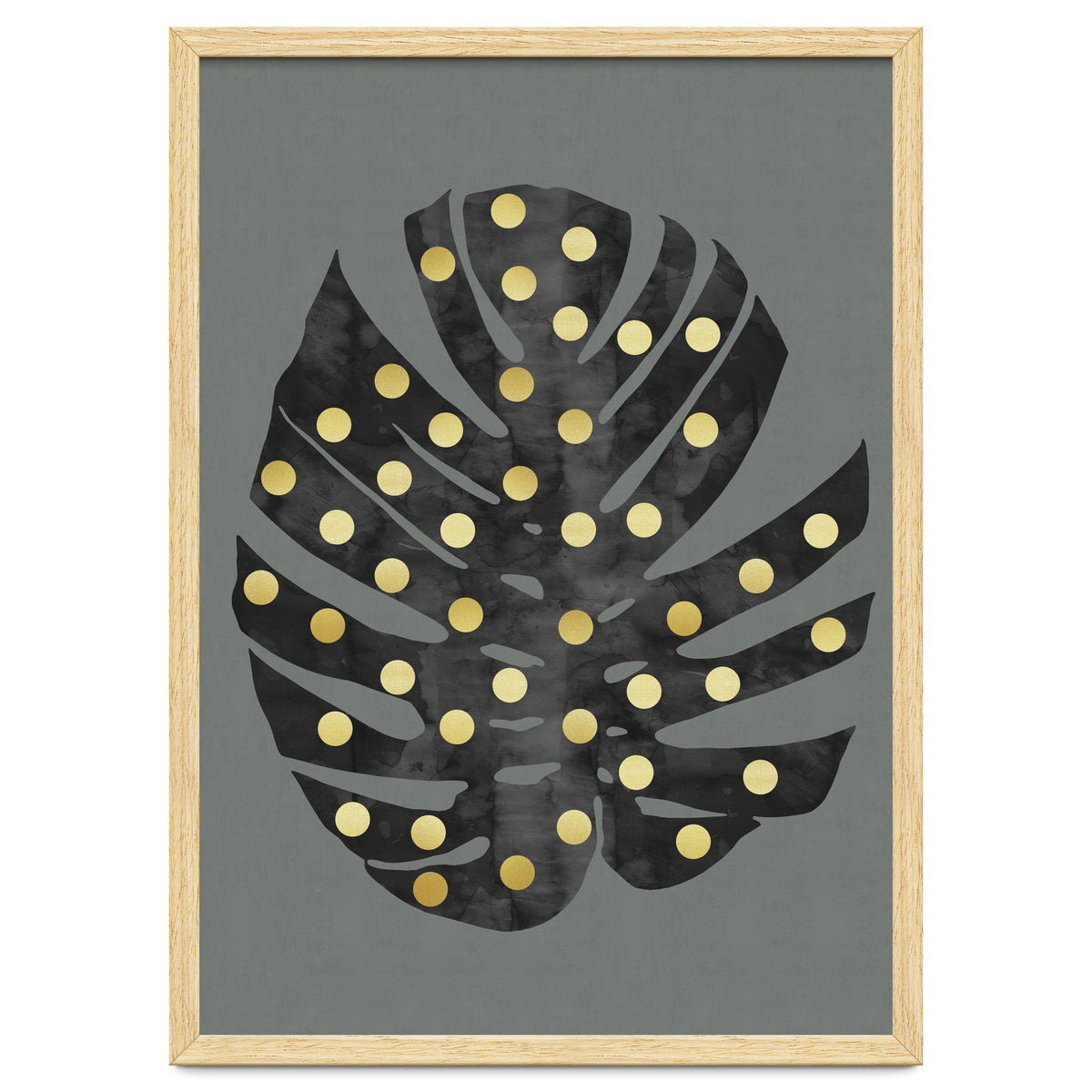 Monstera Deliciosa V