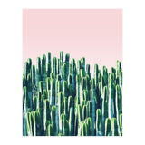 Cactus & Sunset II (Print Only) thumbnail