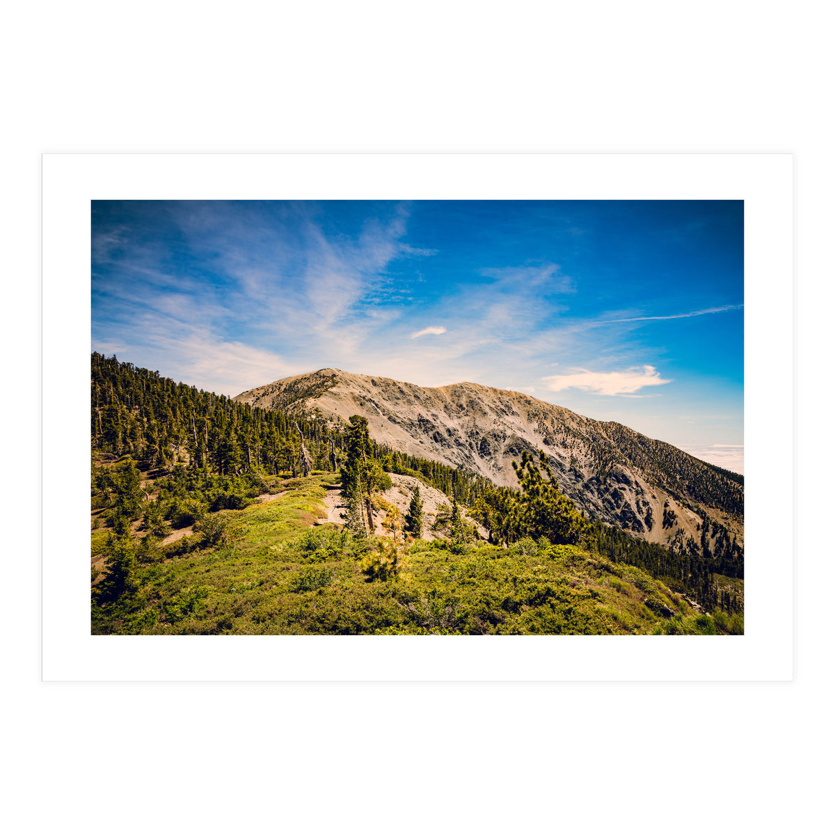 Mt Baldy (Print Only)