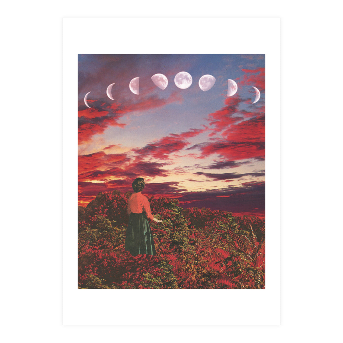 Crimson Paradise (Print Only)