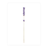 Lavender twig (Print Only) thumbnail