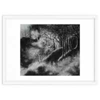 Black and White Forest in Clouds