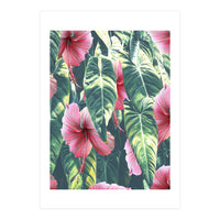 Wild Hibiscus (Print Only)