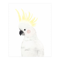 Sweet Cockatoo (Print Only)