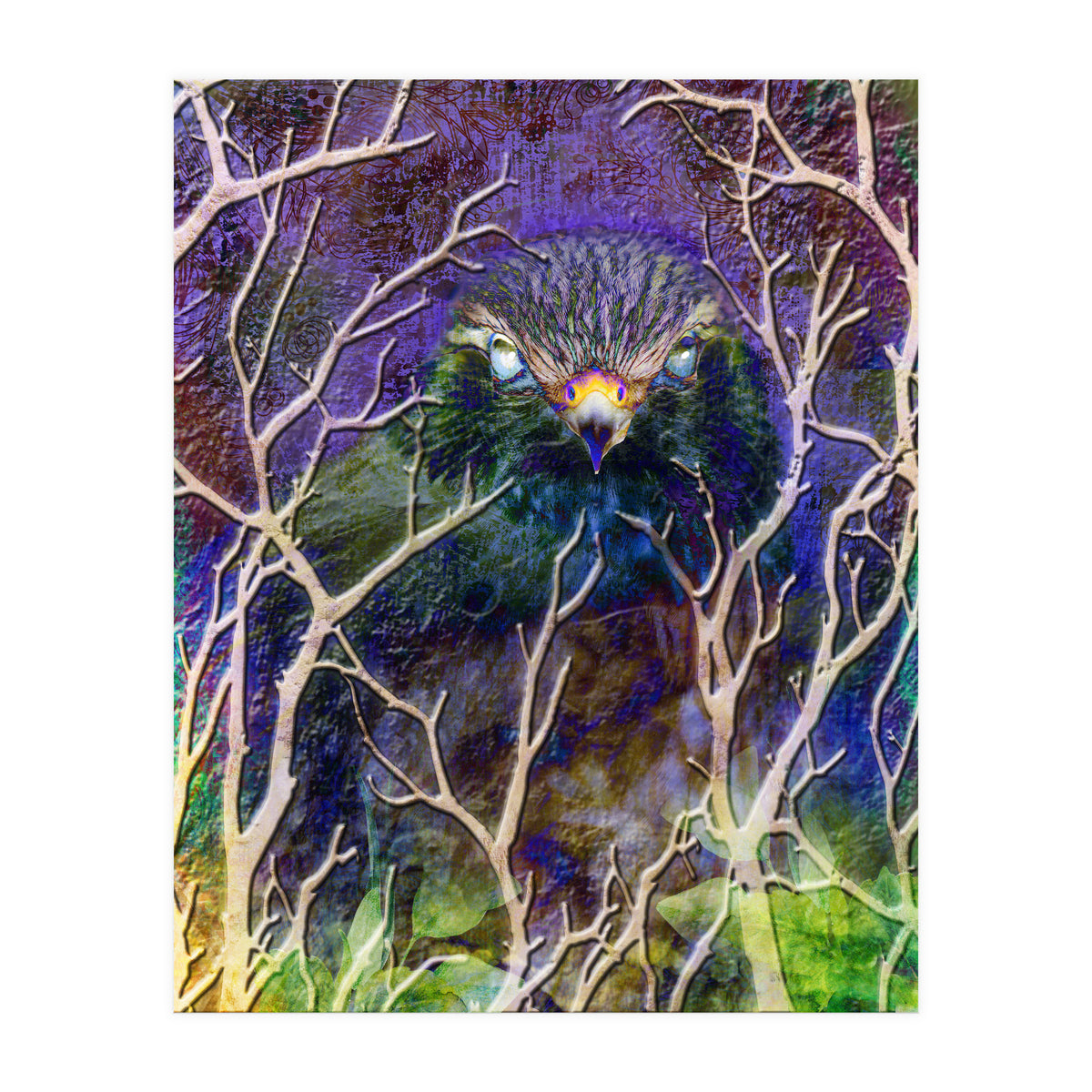 Dead Of Night (Print Only)