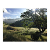 Henry Coe I (Print Only) thumbnail