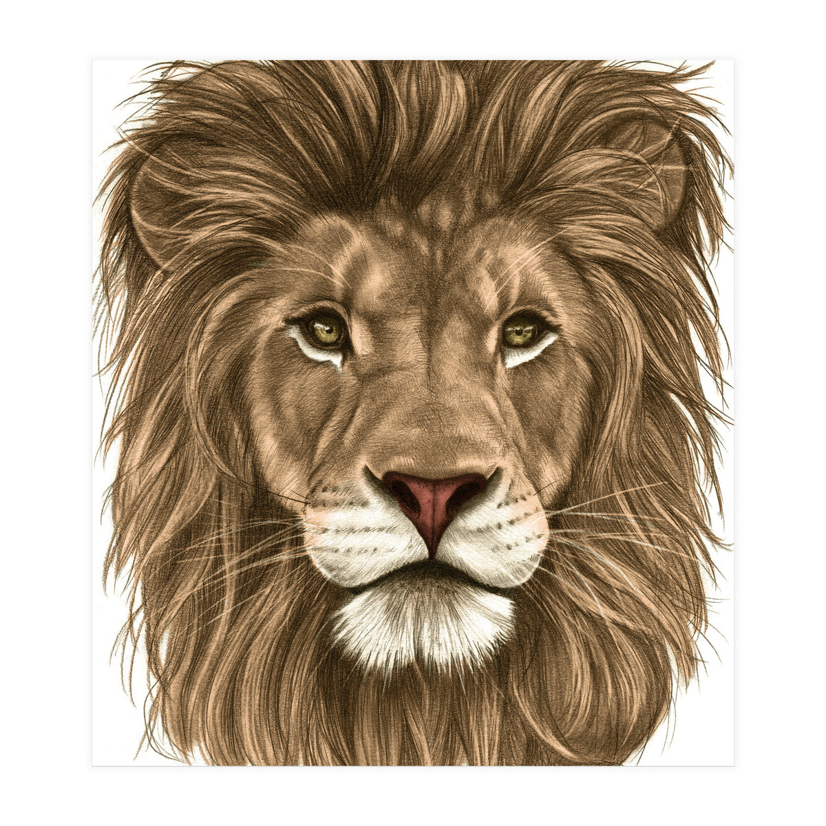 The Majestic Lion (Print Only)