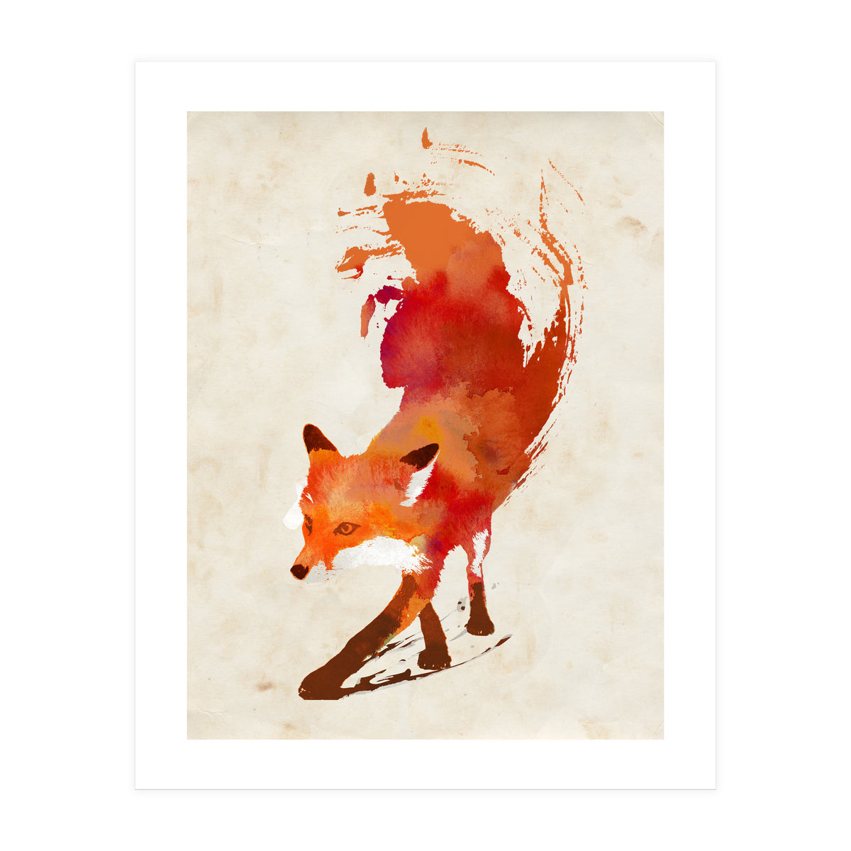 Vulpes Vulpes (Print Only)