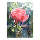 Romantic rose (Print Only) thumbnail