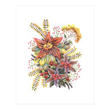 Flora II (Print Only) thumbnail