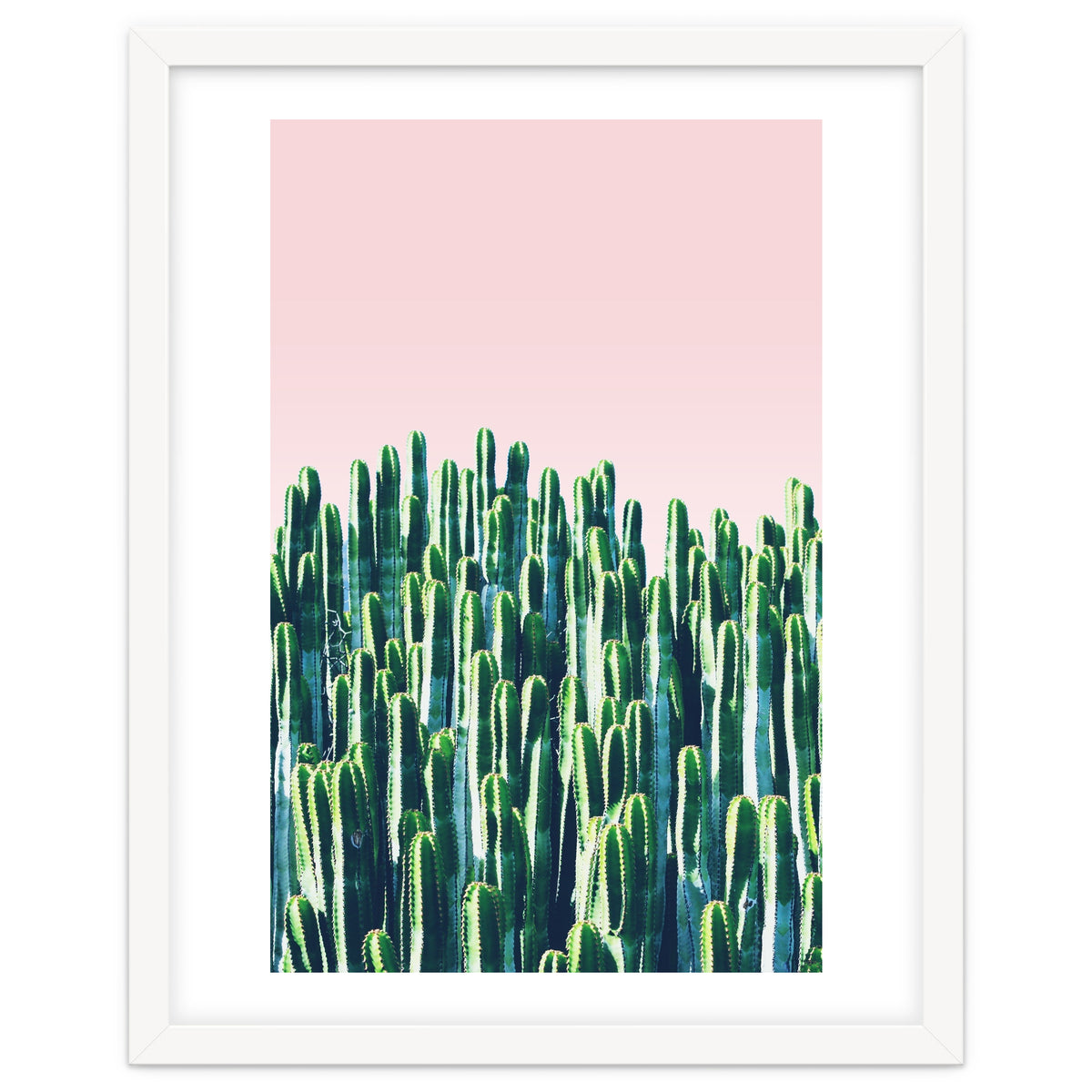 Cactus & Sunset II