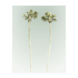Vintage Palm Trees  (Print Only) thumbnail