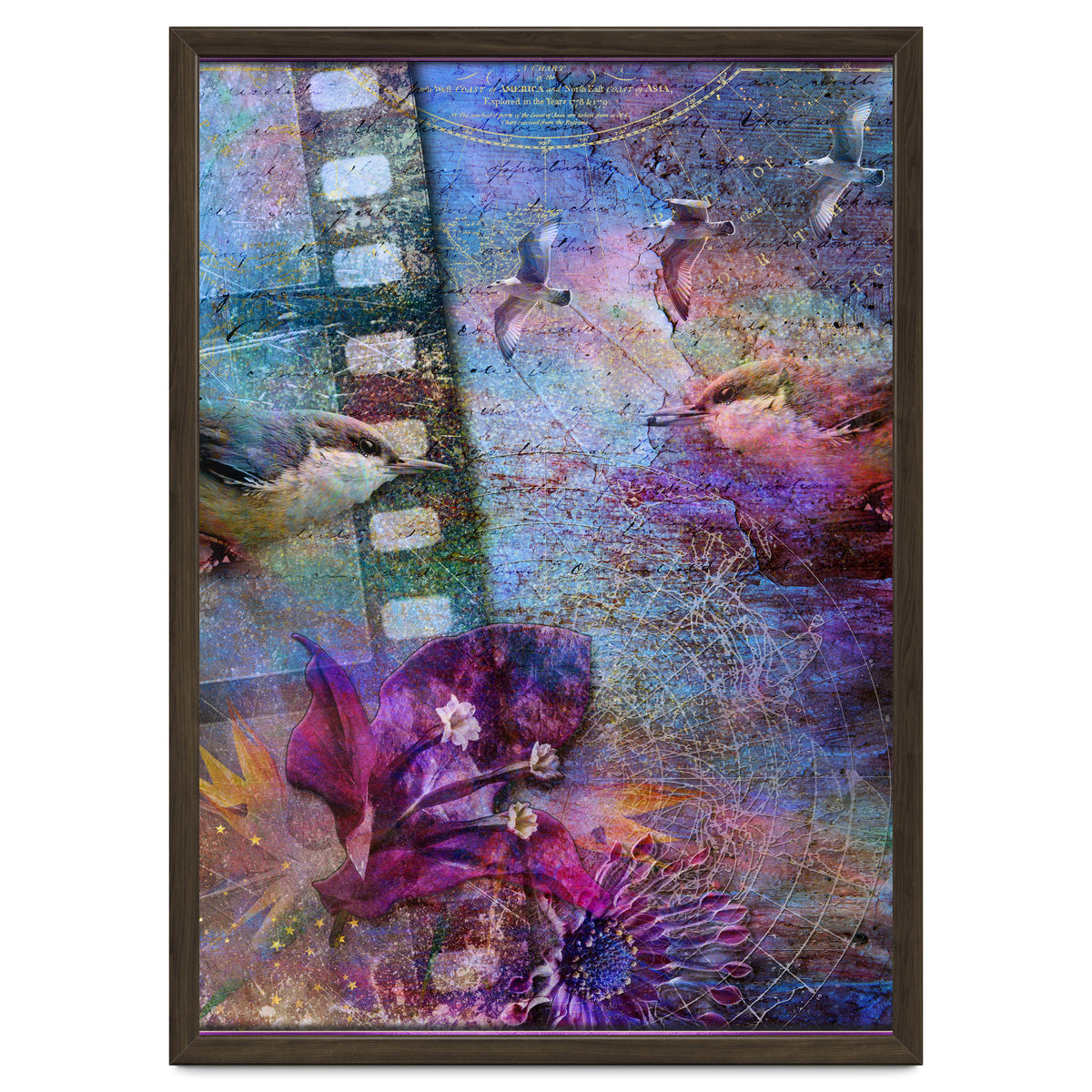 Watching the Wild World