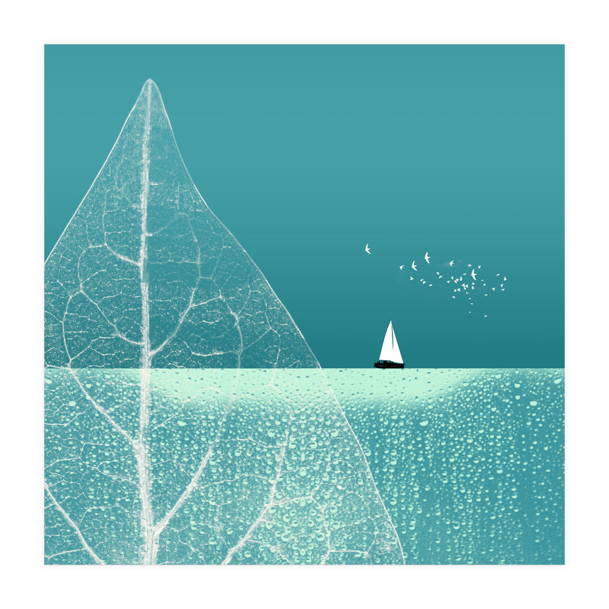 Ocean Wonderland Ii-B  (Print Only)