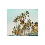 Island Life III (Print Only) thumbnail