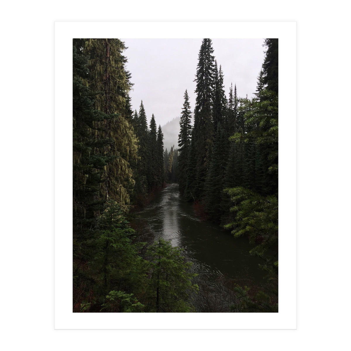 Evergreen State (Print Only)