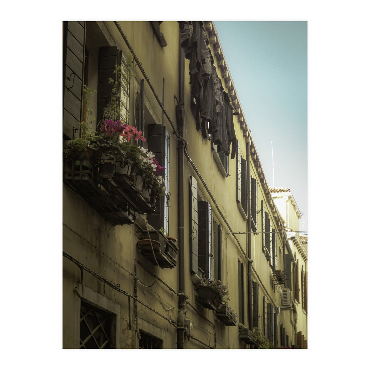 Windows From Tuscany 1 (Print Only)