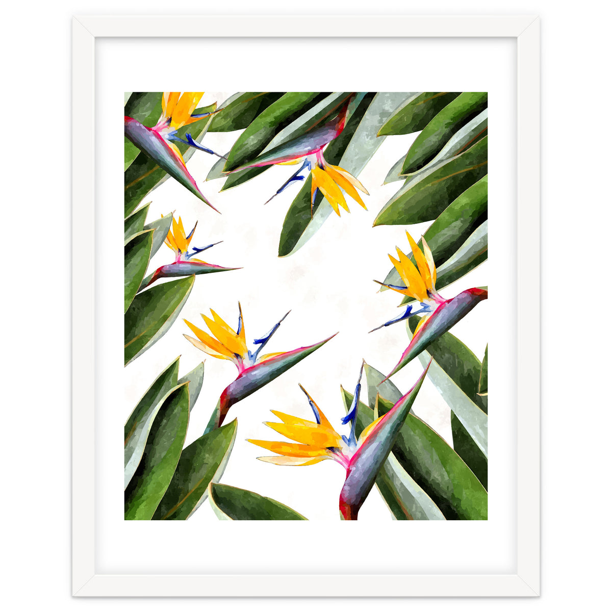 Bird Of Paradise