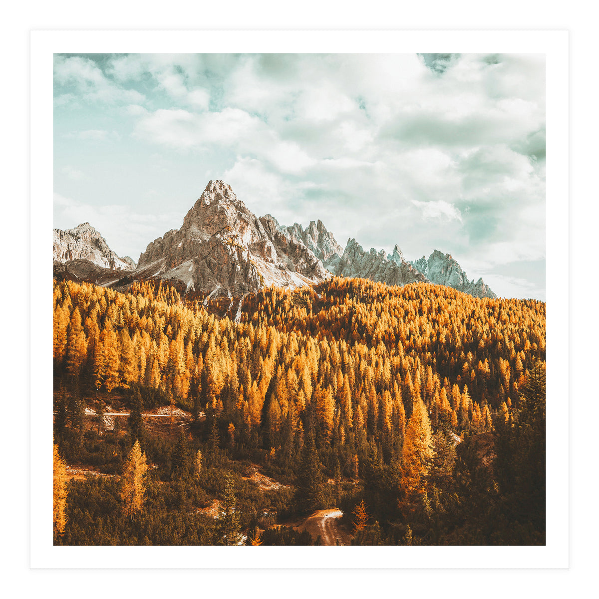 Let's Get Lost (Print Only)