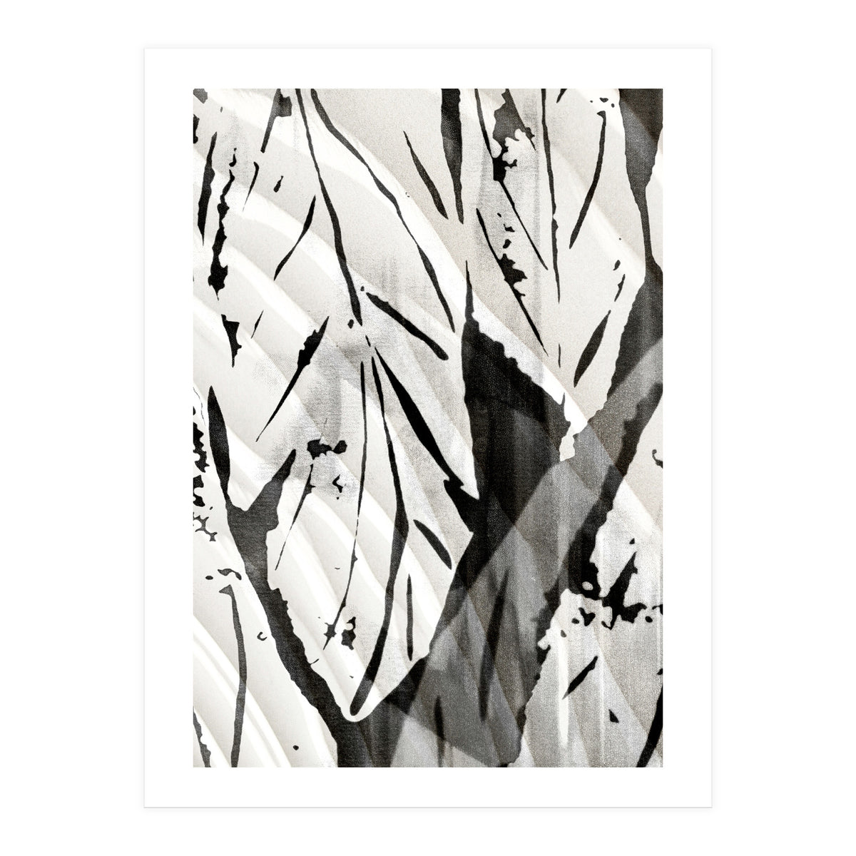 Tropical Season BW 2 (Print Only)