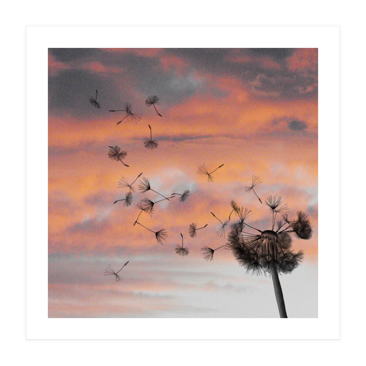 And The Days Went By (Print Only)