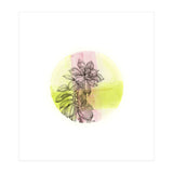 Succulent On Pink And Green (Print Only) thumbnail