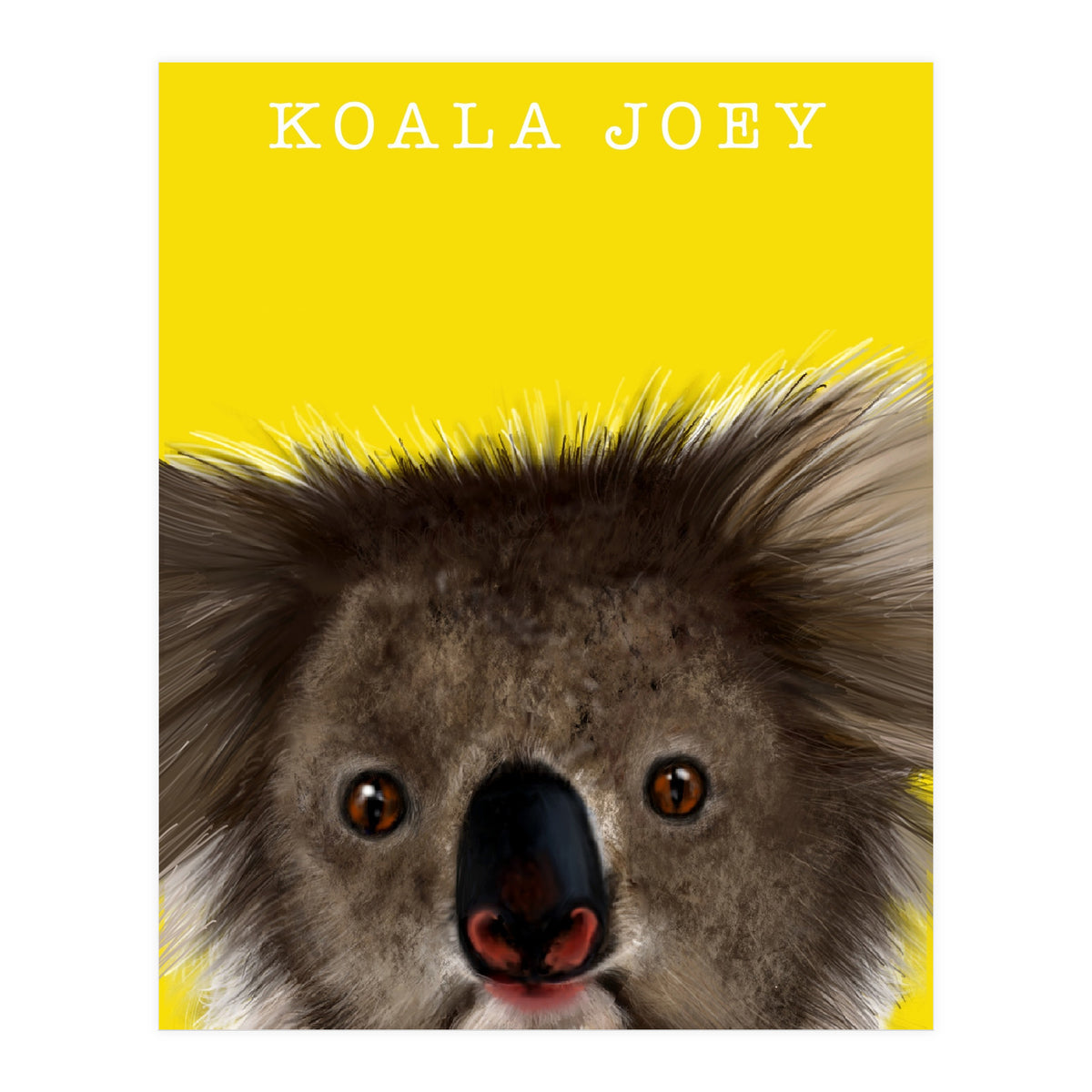 Koala Joey (Print Only)