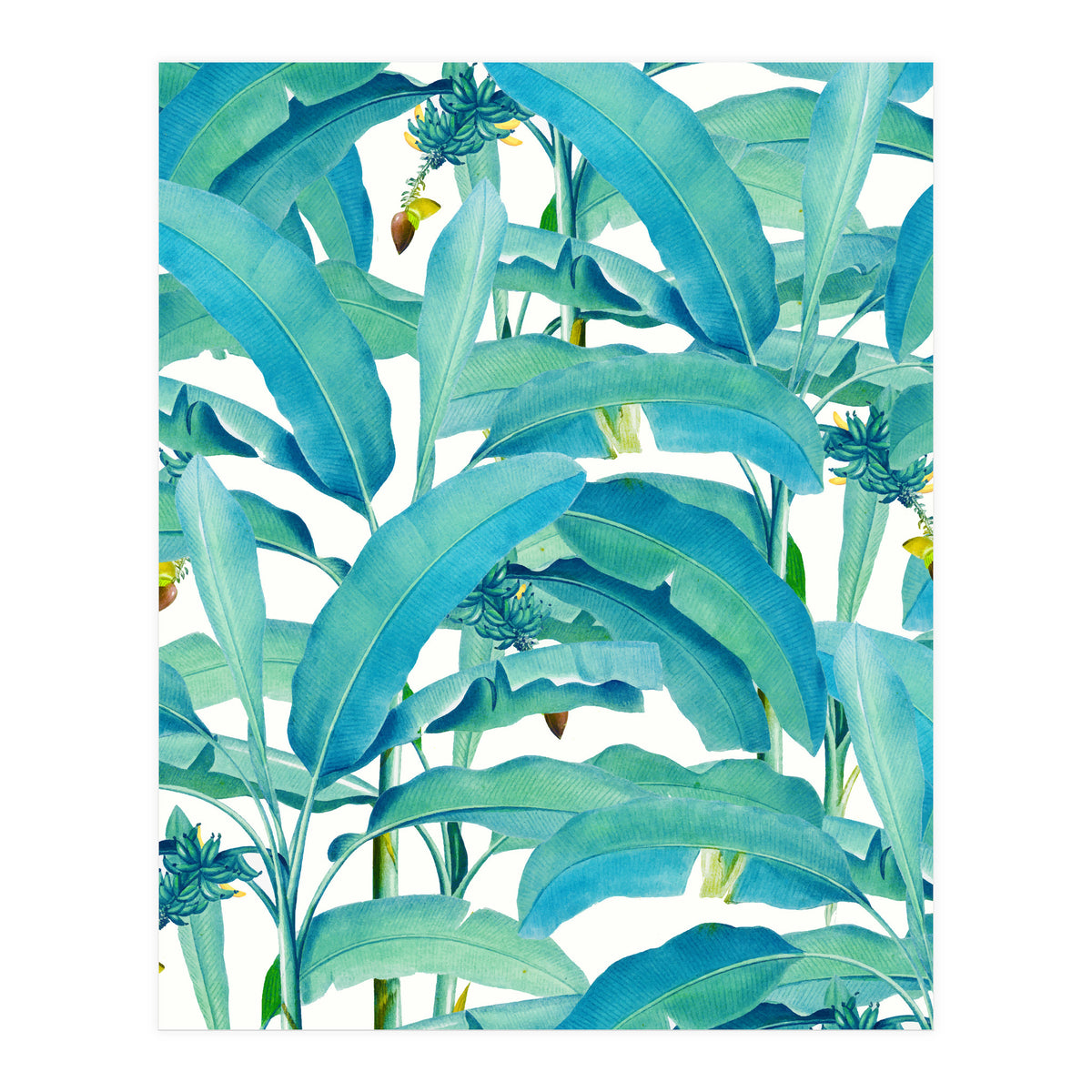 Banana Forest (Print Only)