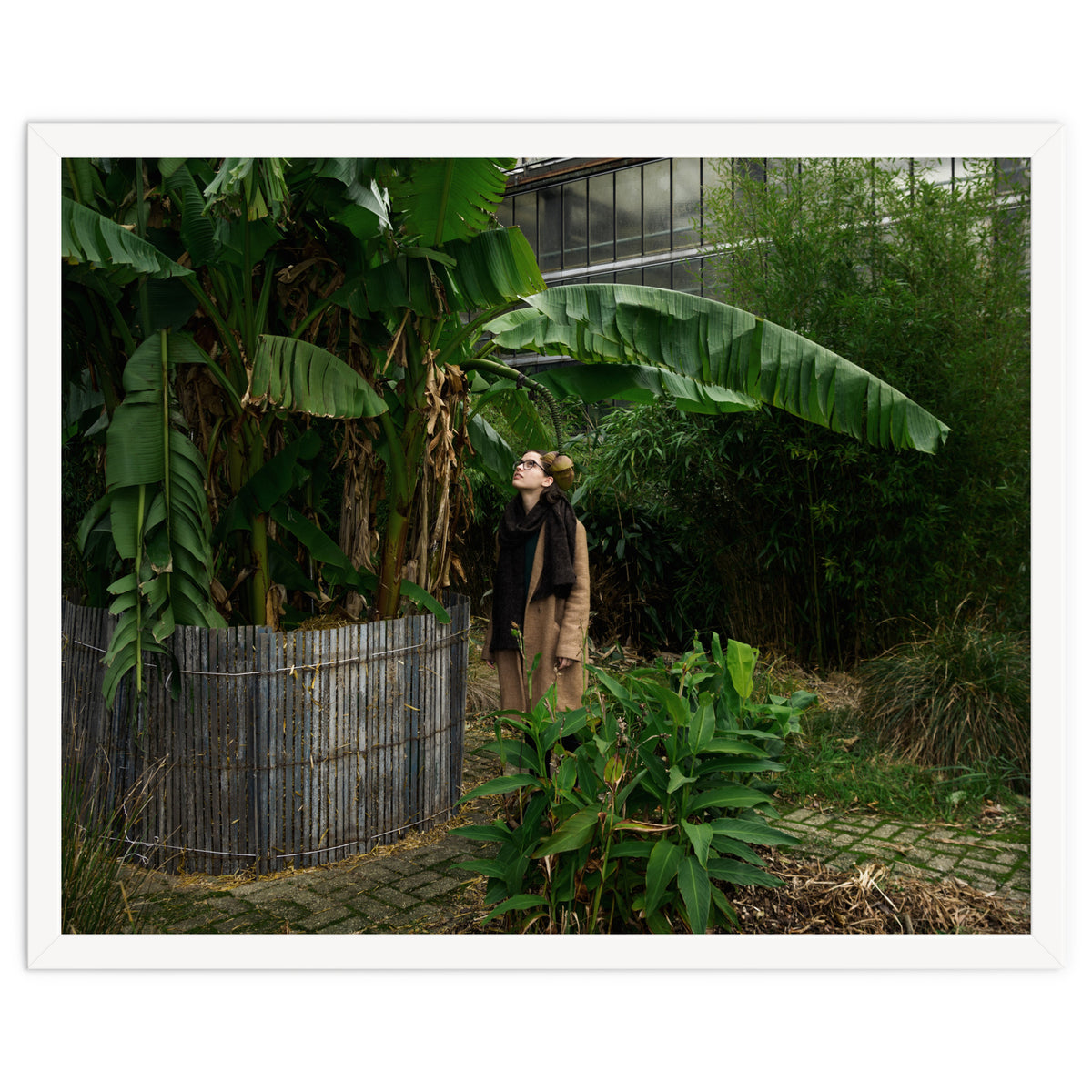 Transition from Summer to Winter