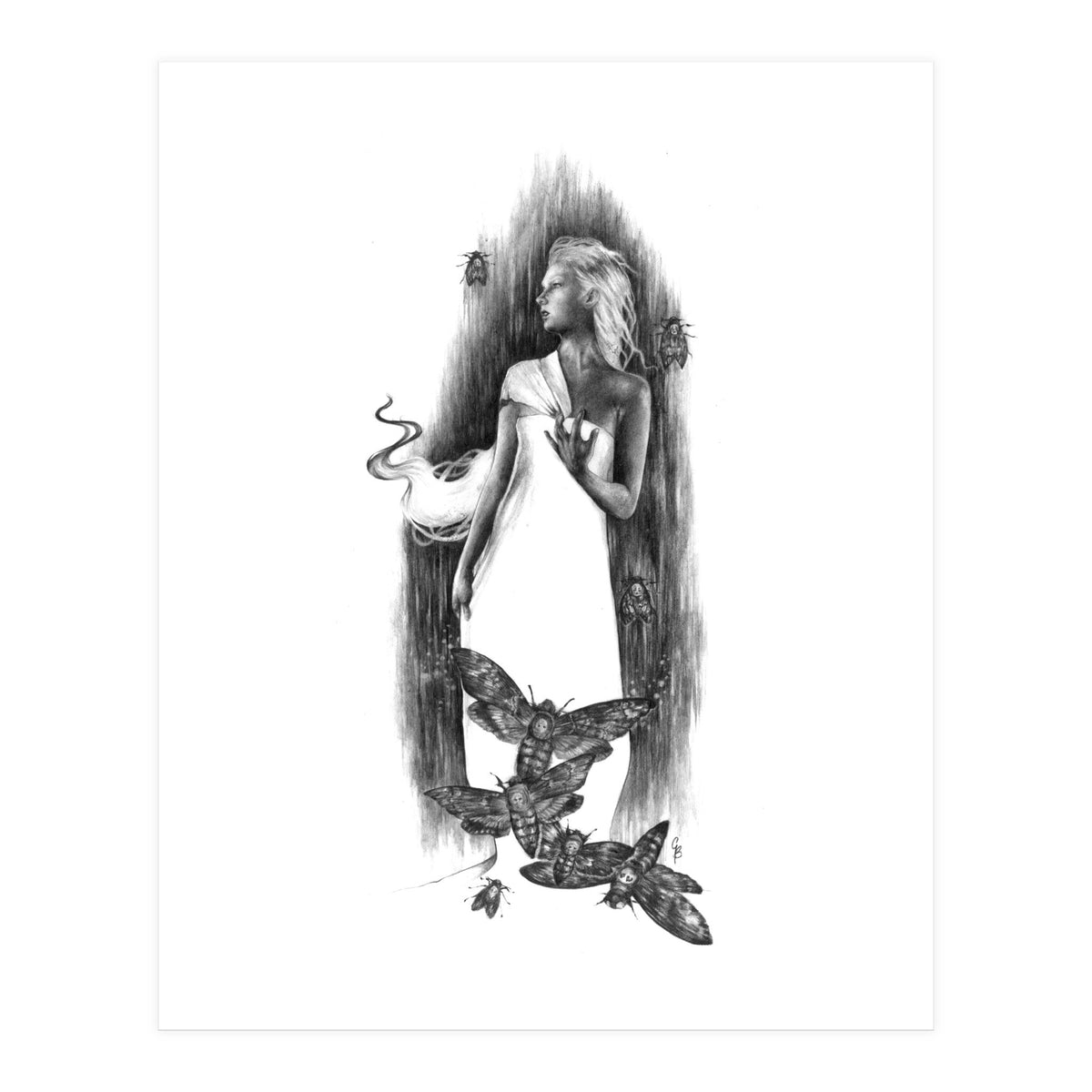 The Moth (Print Only)