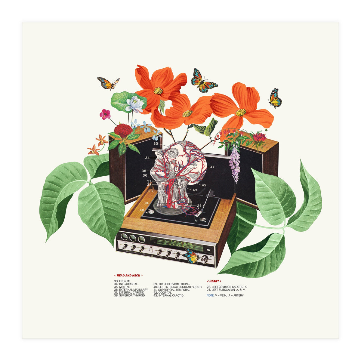 Brainwave (Print Only)