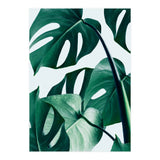 Monstera (Print Only) thumbnail