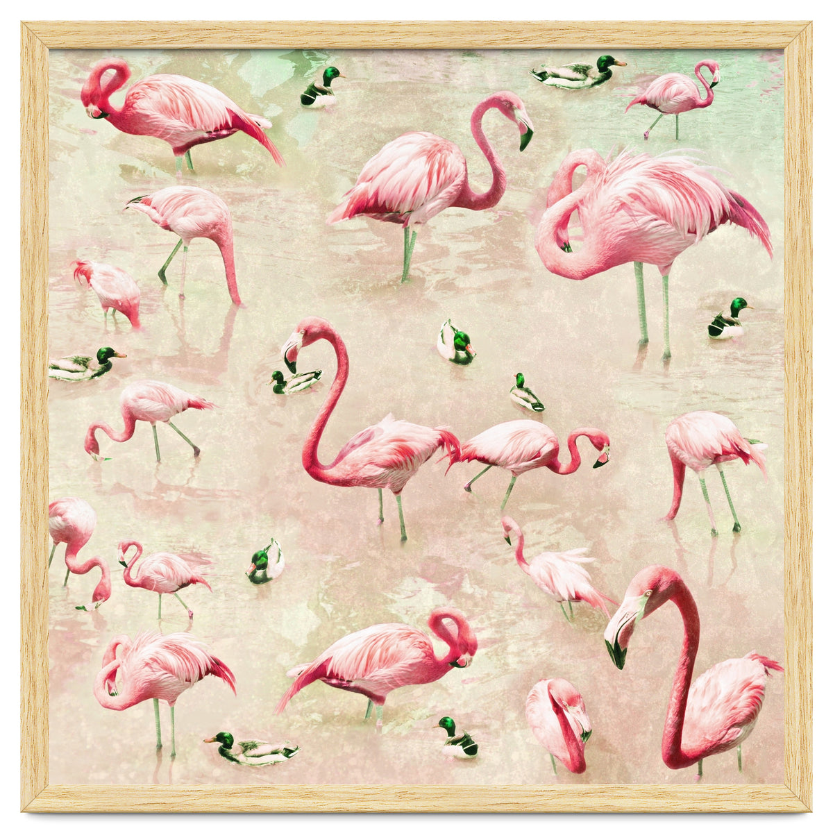 Flamingos Vintage Pink