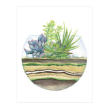 A Little Green Terrarium (Print Only) thumbnail