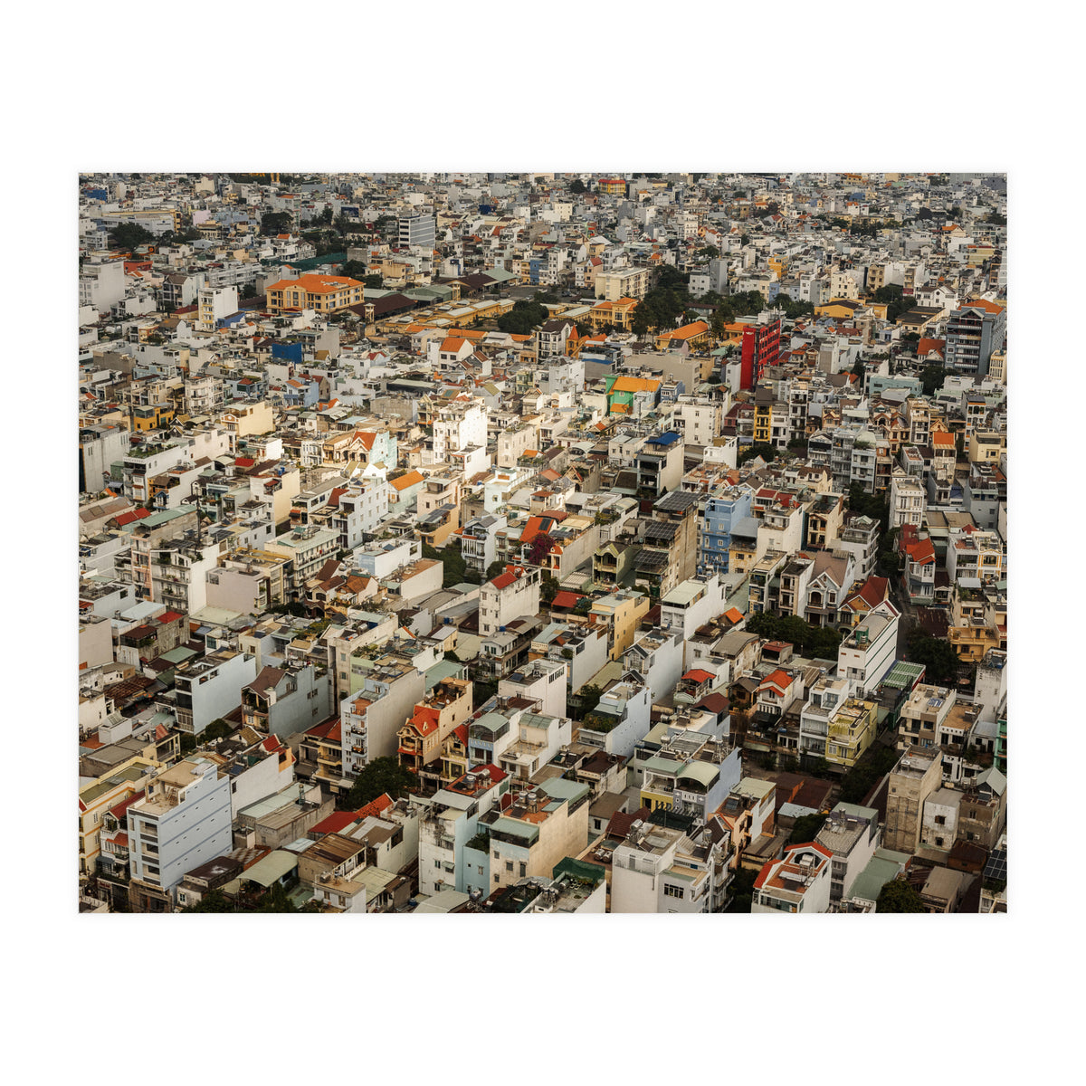 Concrete Jungle (Print Only)