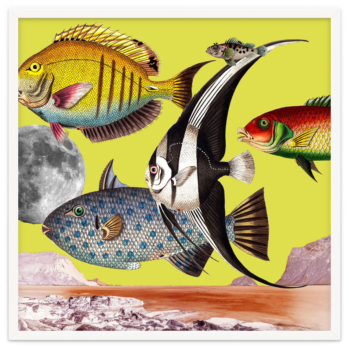 Plenty Of Fish In The Sea Yellow