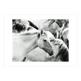 Horses (Print Only) thumbnail