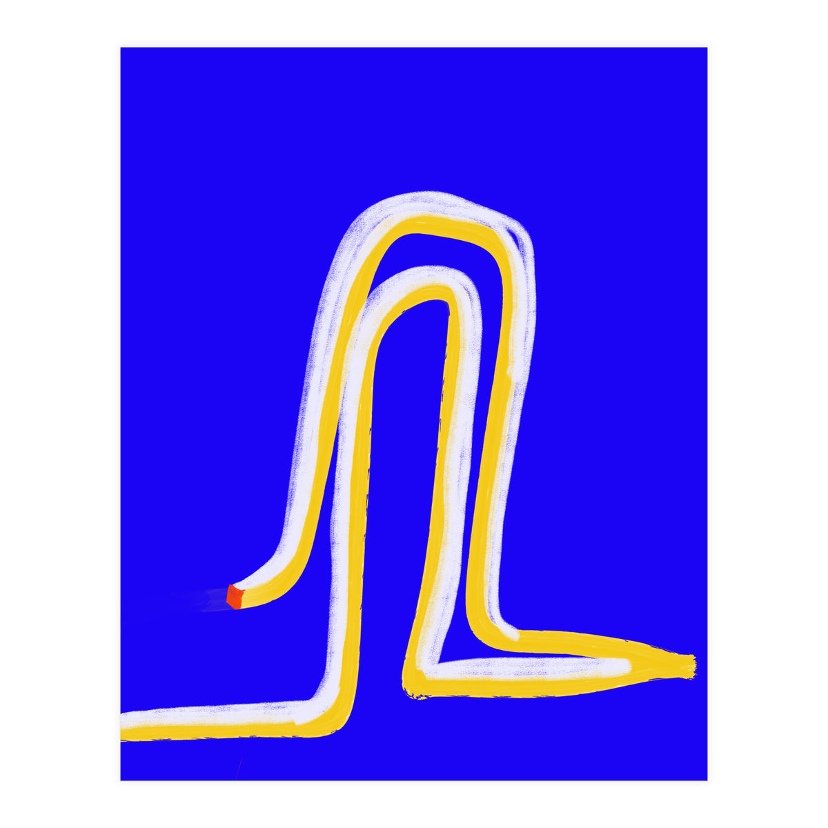 History (Print Only)