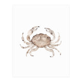 Crab (Print Only) thumbnail