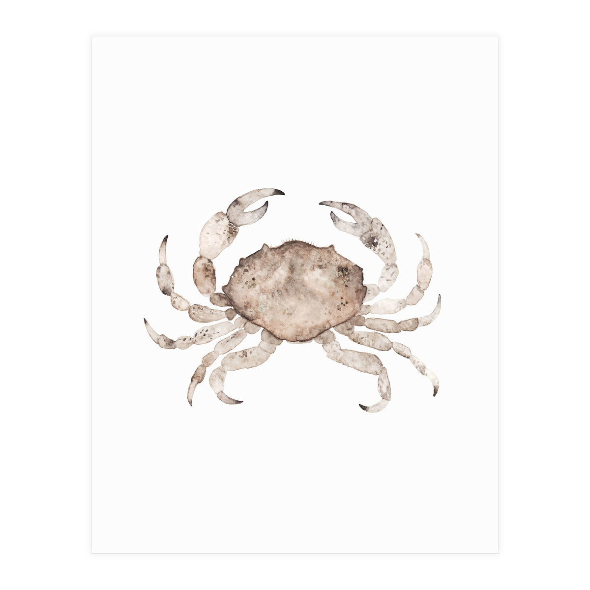 Crab (Print Only)
