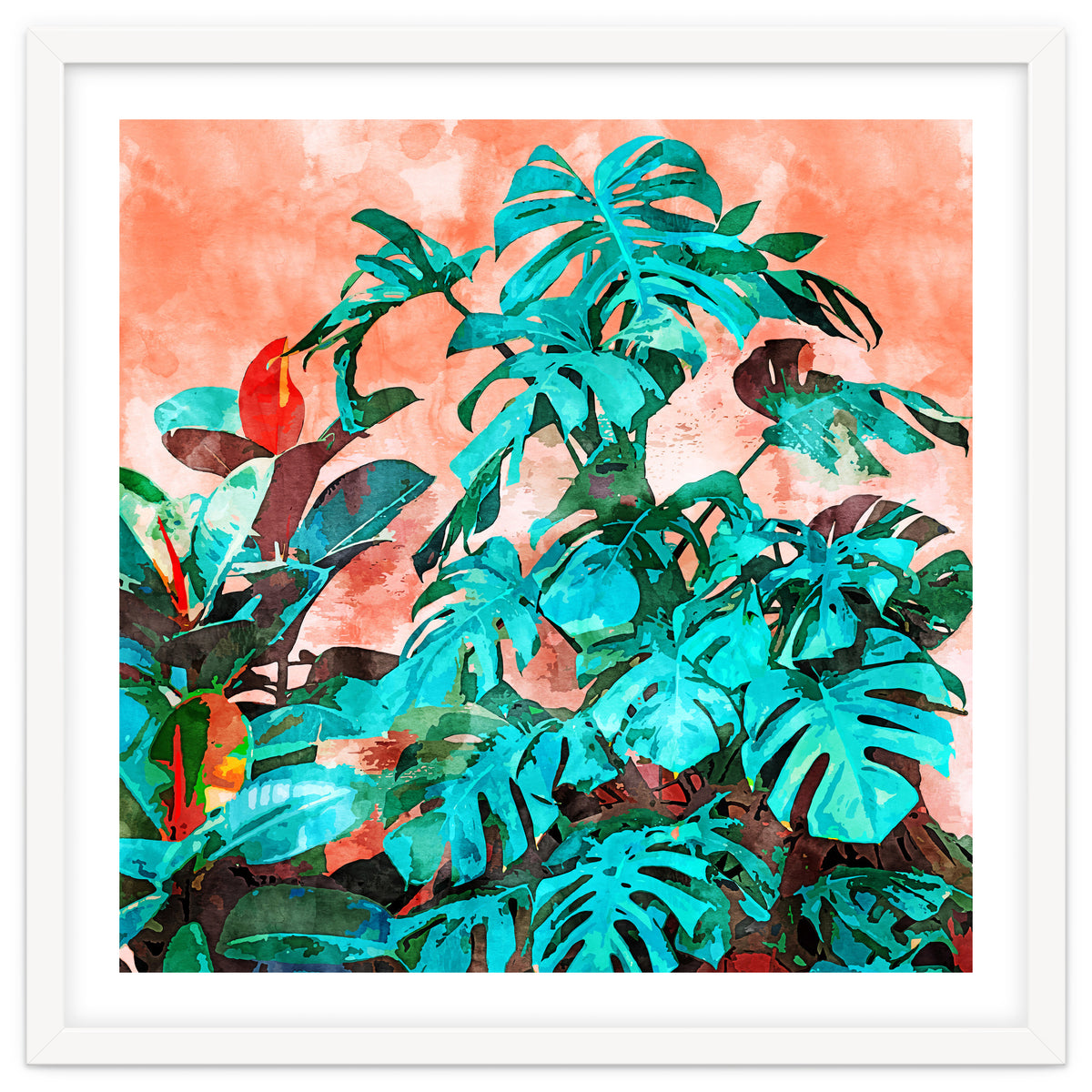 Monstera In My Backyard